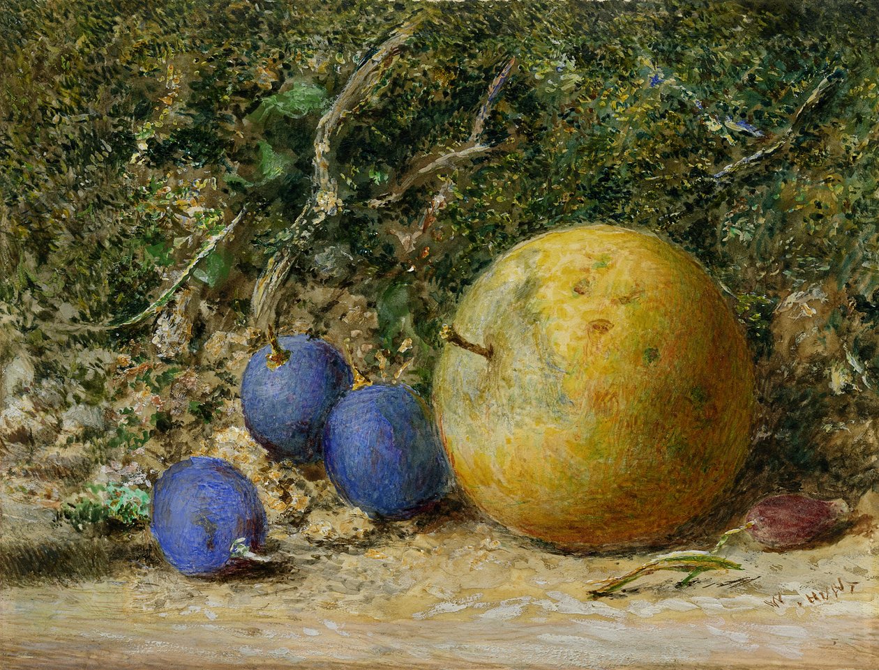 Trzy winogrona i jabłko (wc na papierze) autorstwa William Henry Hunt
