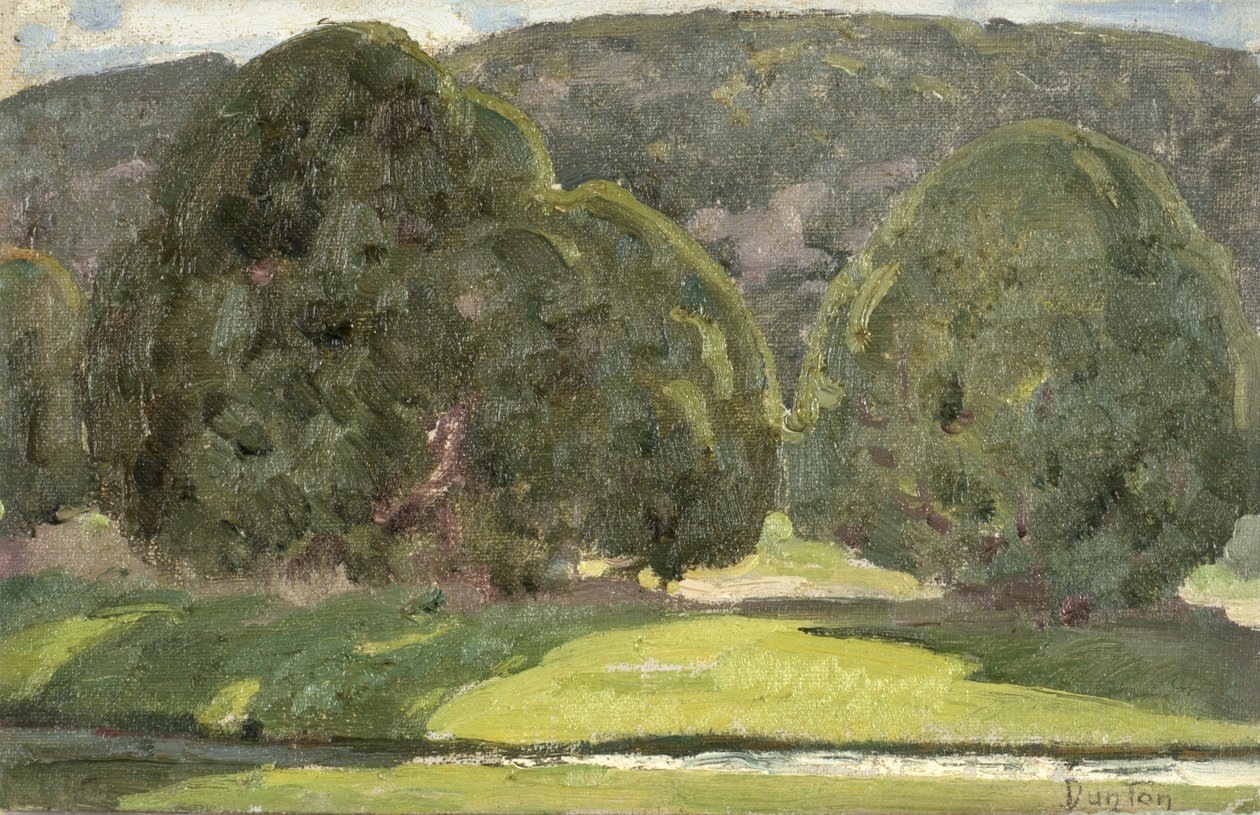 Światło słoneczne i cedry, ok. 1933 autorstwa William Herbert Buck Dunton