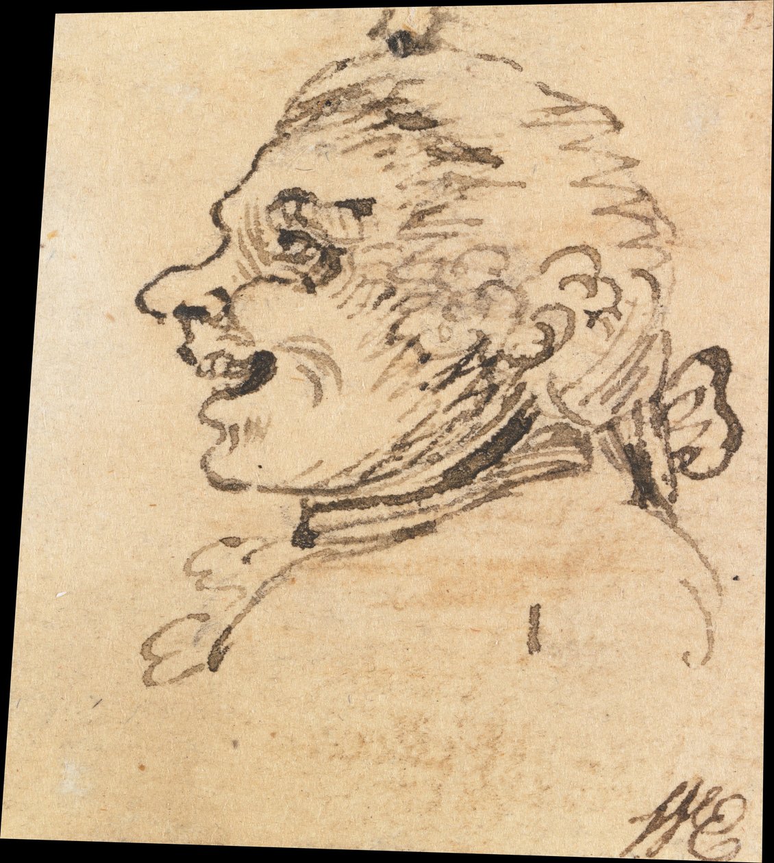 Groteskowa męska głowa autorstwa William Hogarth