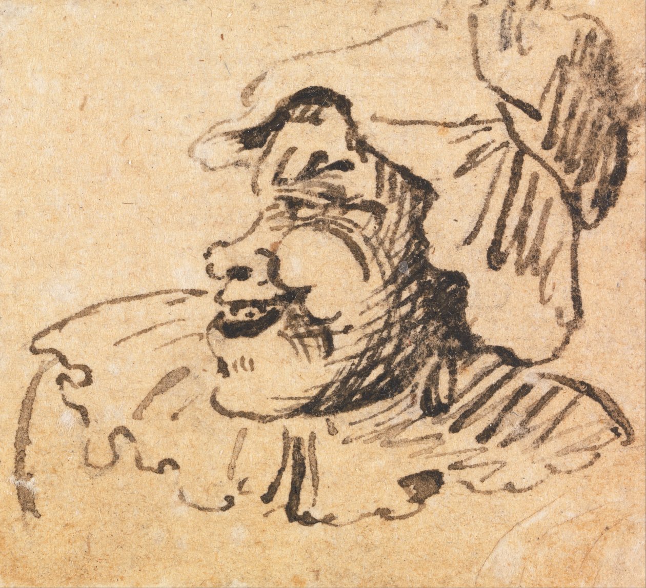 Groteskowa męska głowa autorstwa William Hogarth