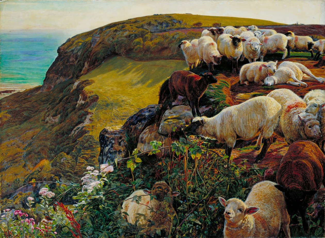 Nasze angielskie wybrzeża, 1852 („Zabłąkana owca”) autorstwa William Holman Hunt