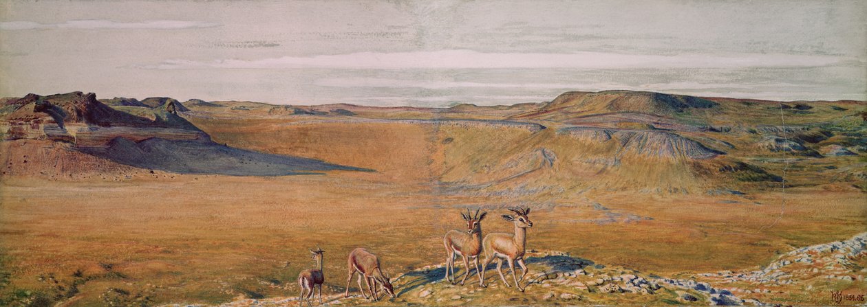 Pustkowie Gizy, 1854 autorstwa William Holman Hunt