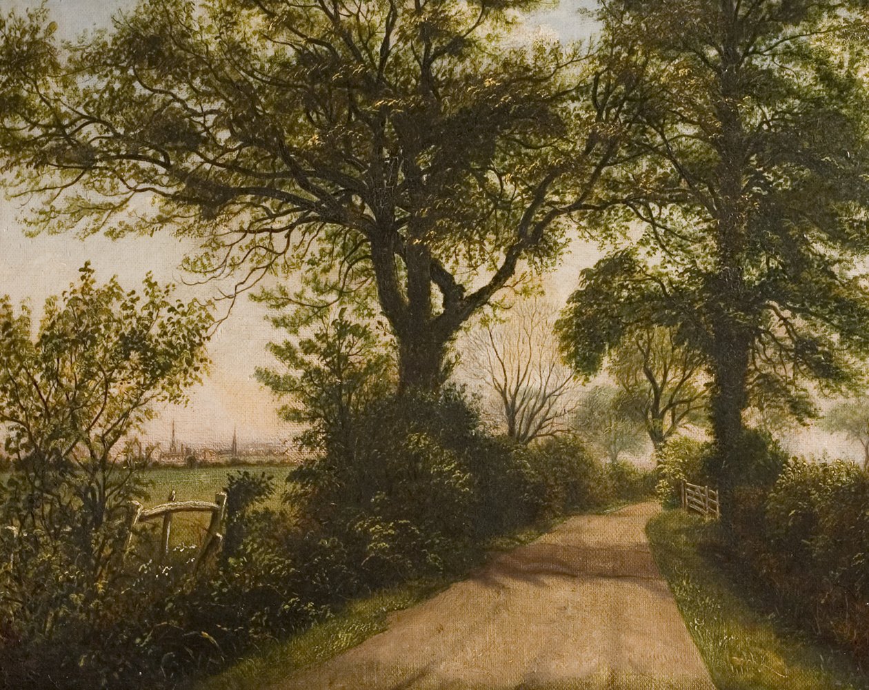 Odległy widok na Coventry, koniec XIX wieku autorstwa William Howard Reeve