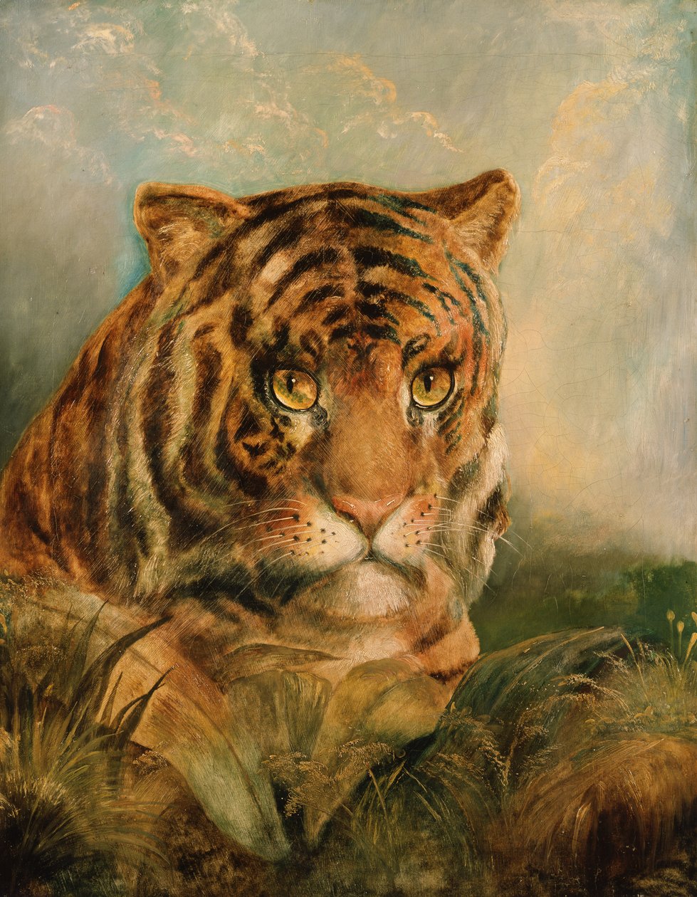 Nieznany obraz autorstwa William Huggins