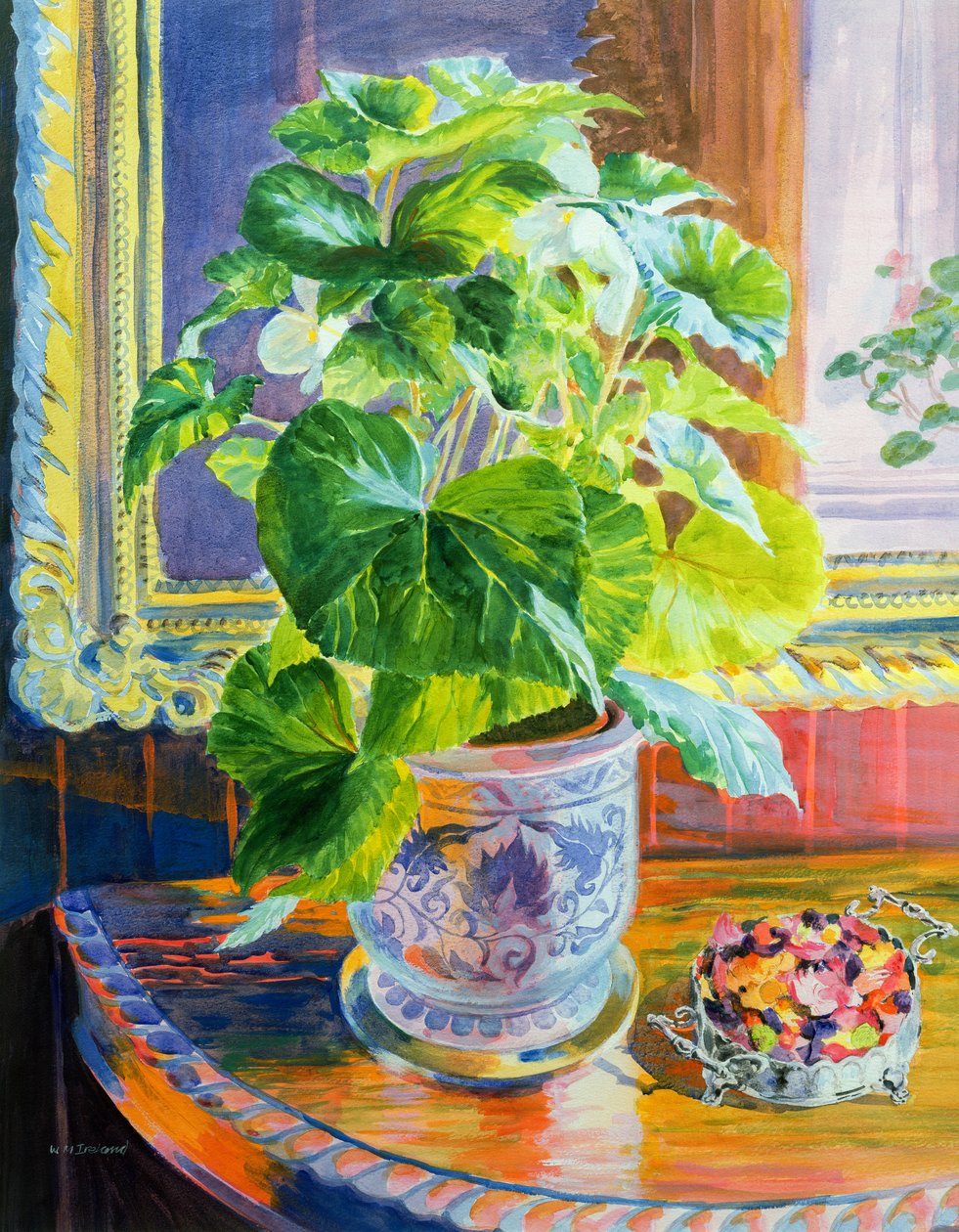 Ku Światłu autorstwa William Ireland