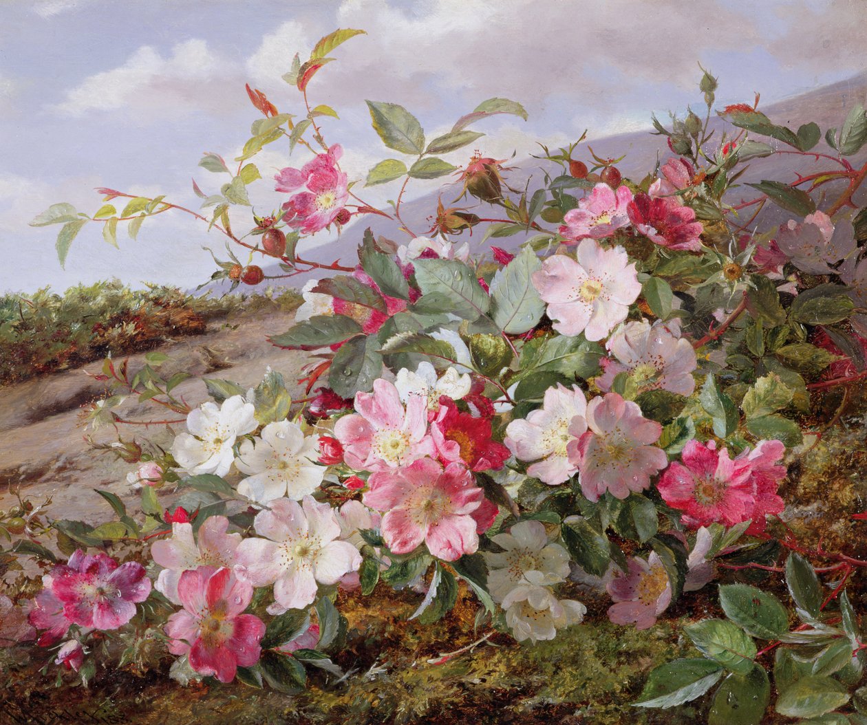 Eglantyna, 1883 autorstwa William Jabez Muckley