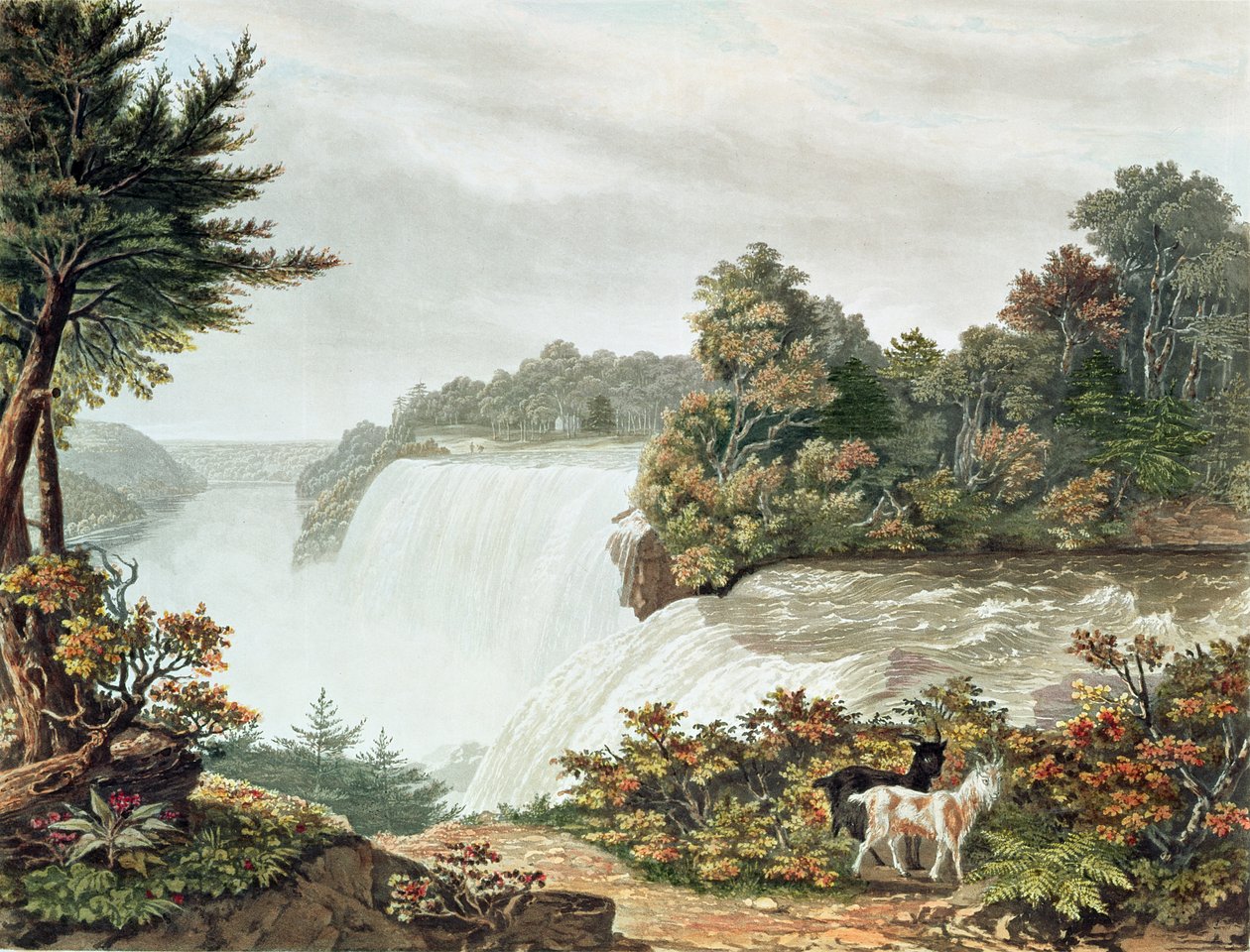 Wodospad Niagara z Koziej Wyspy autorstwa William James Bennett