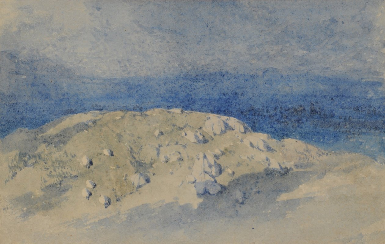 Hill Top, 1840-58 (wc na papierze) autorstwa William James Blacklock