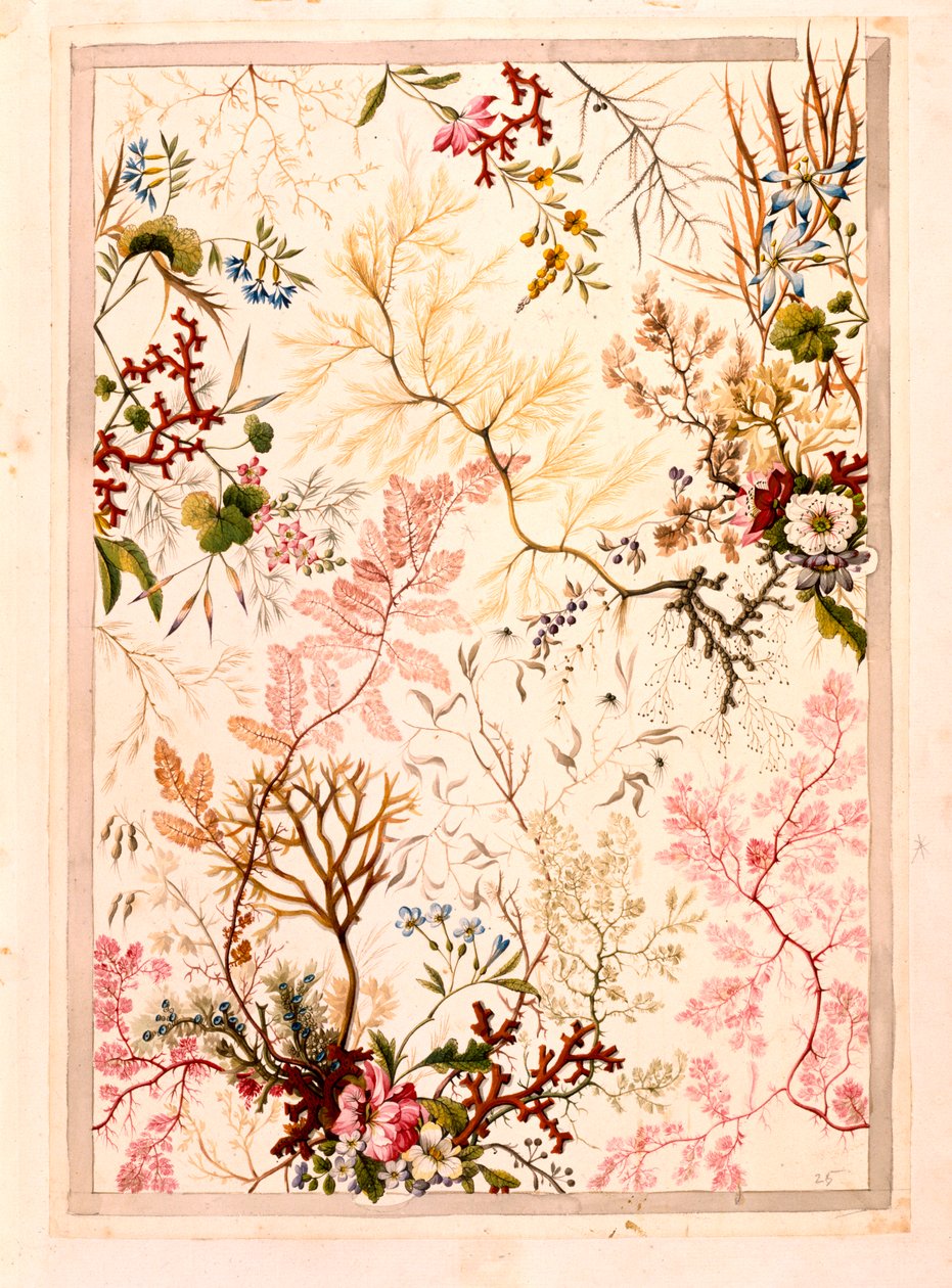 Marmurowy papier końcowy (papier) autorstwa William Kilburn