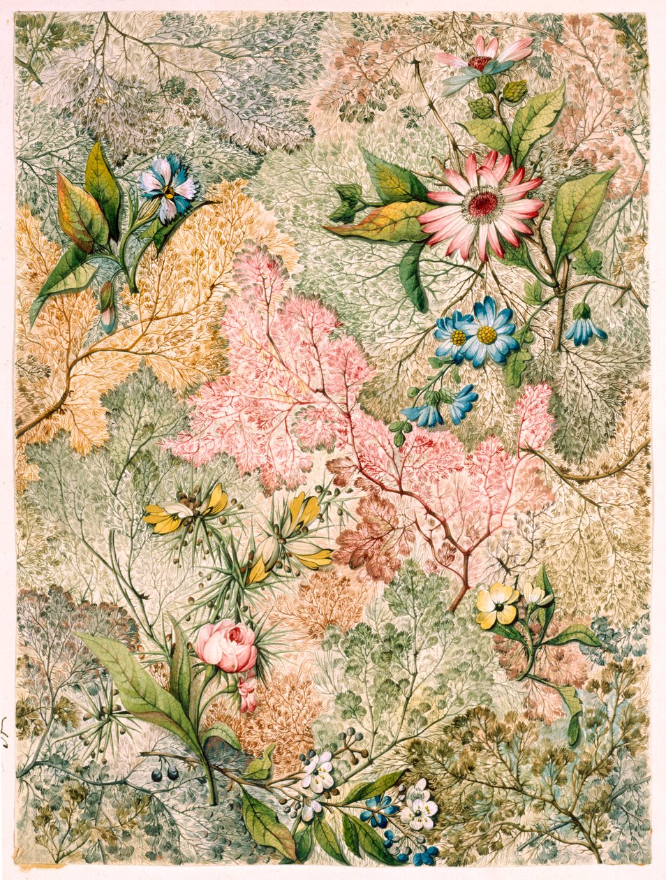 Wyklejka marmurowa (papierowa) autorstwa William Kilburn