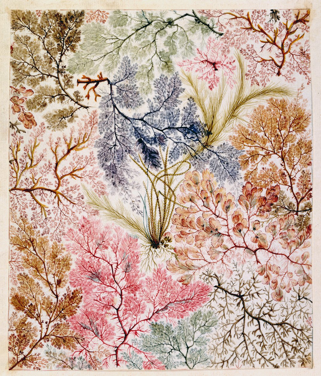 Projektowanie tkanin, ok. 1788-92 autorstwa William Kilburn