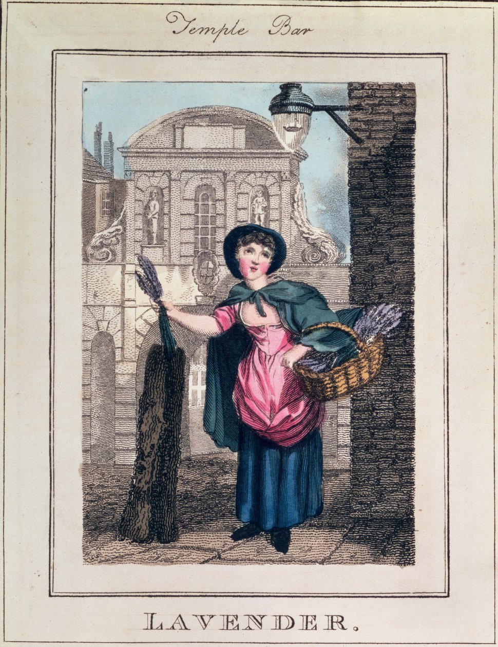 Lavender, Temple Bar, z „Cries of London”, wyd. autorstwa Richarda Phillipsa (1778-1851) 1804 autorstwa William Marshall Craig