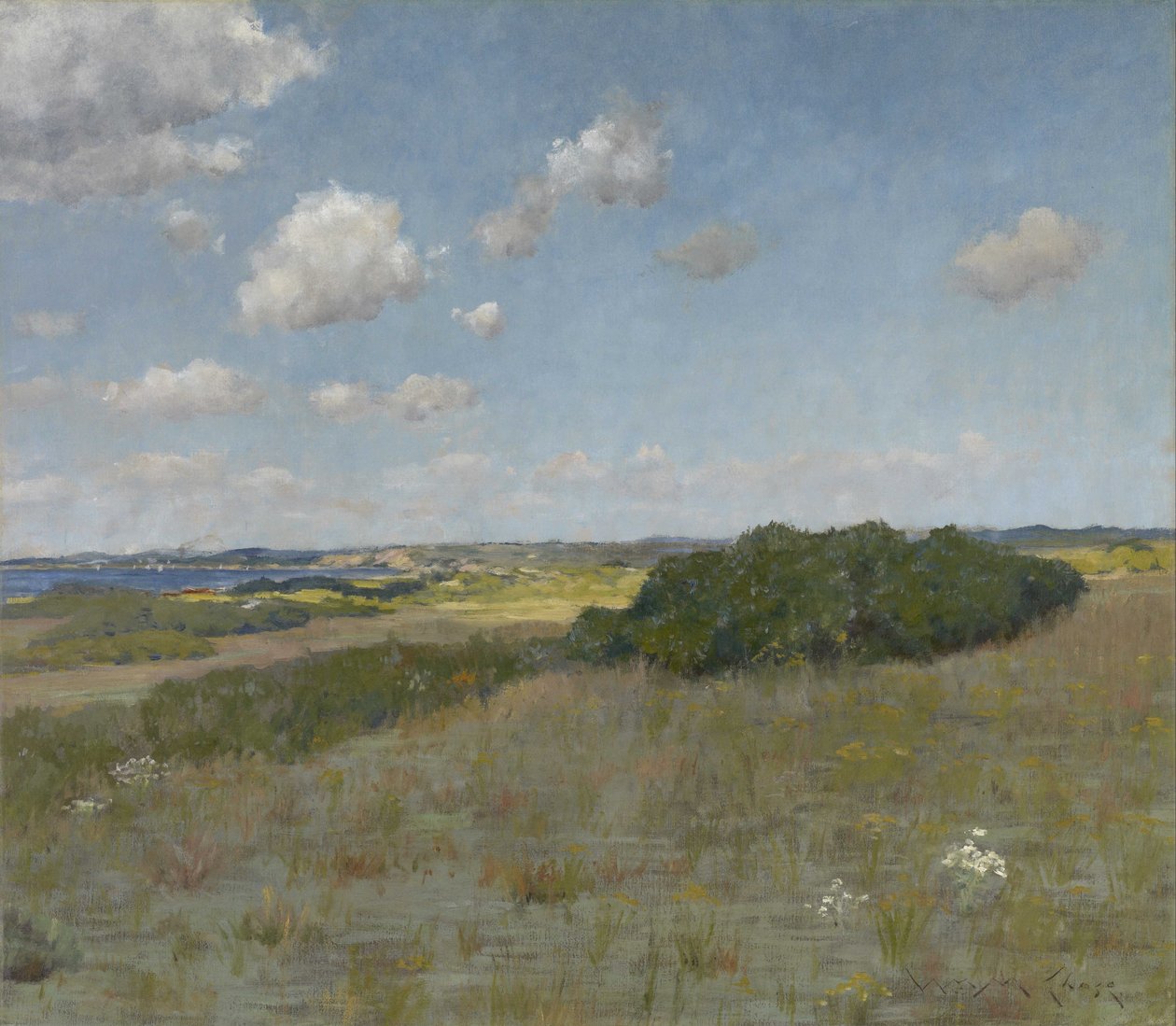 Światło słoneczne i cień, Wzgórza Shinnecock autorstwa William Merritt Chase