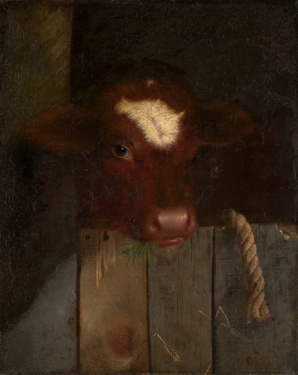 Krowa rodzinna (głowa cielęcia) autorstwa William Merritt Chase