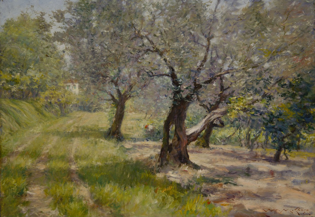 Gaj Oliwny autorstwa William Merritt Chase