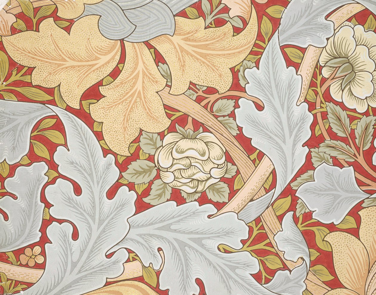 Liście akantu, dzika róża na karmazynowym tle, XIX w. (tapeta) autorstwa William Morris