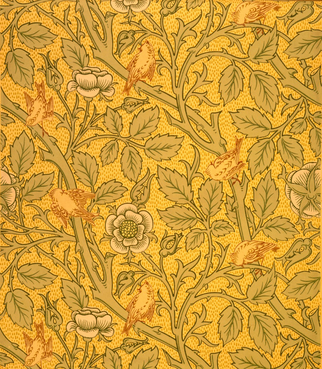 Bird Wallpaper Design (kolorowy wydruk woodblock na papierze) autorstwa William Morris