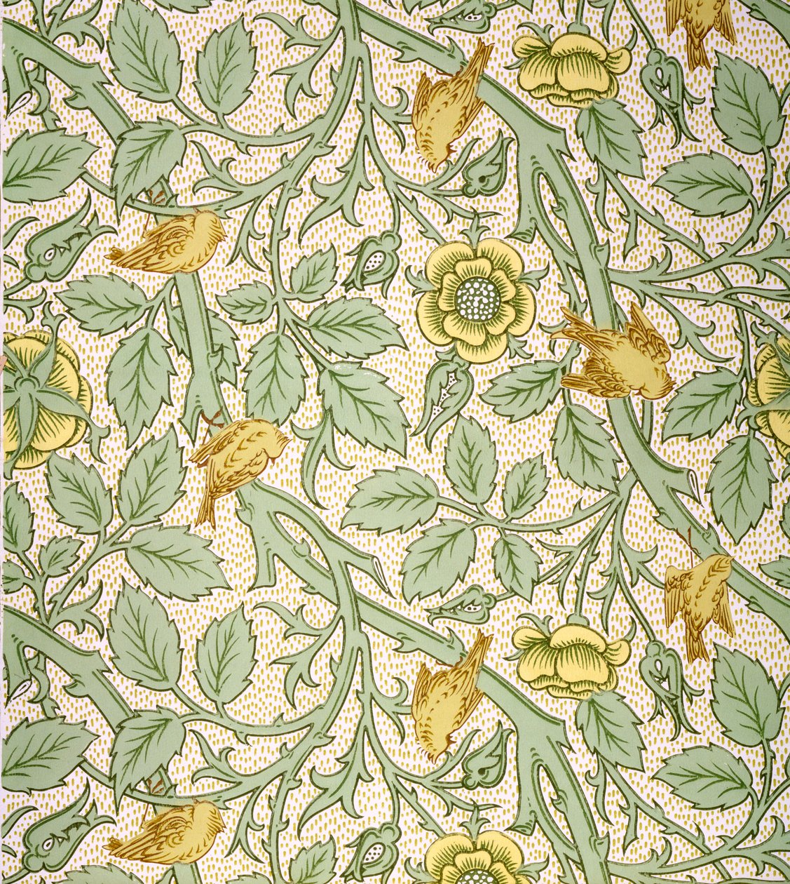 Bird Wallpaper Design (kolorowy druk na papierze) autorstwa William Morris