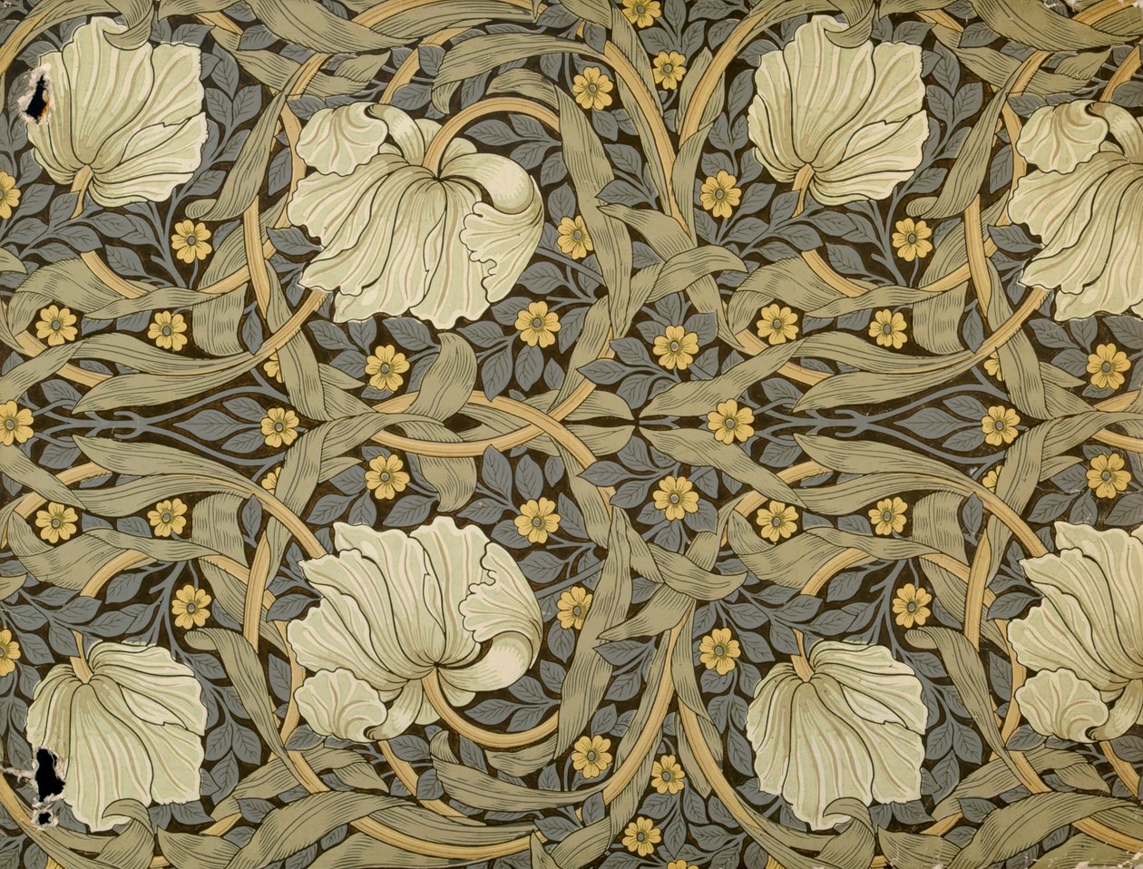 Pimpernell, wzór na tapetę, 1876 autorstwa William Morris