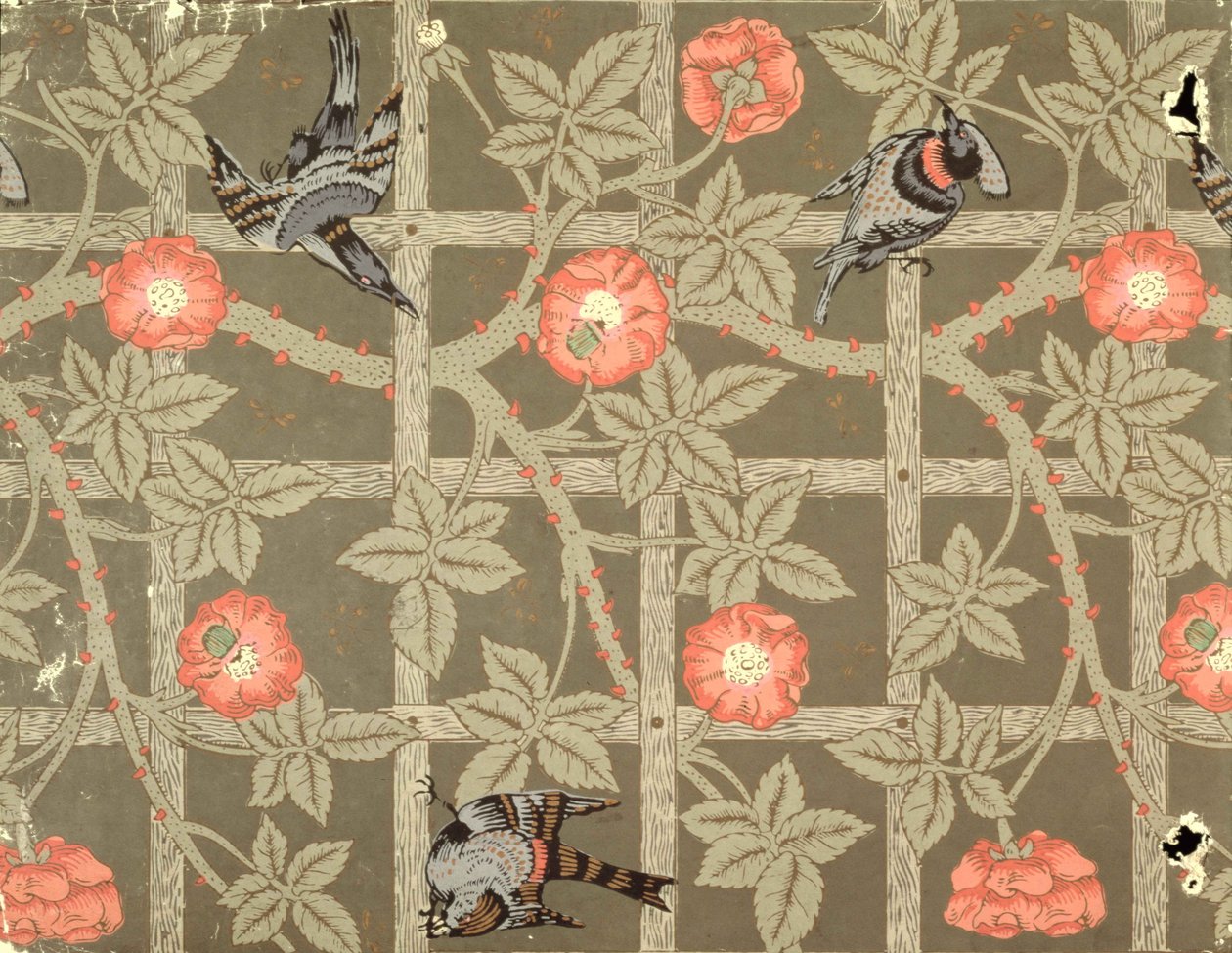 Projekt tapety krata z zielonym tłem, 1864 autorstwa William Morris