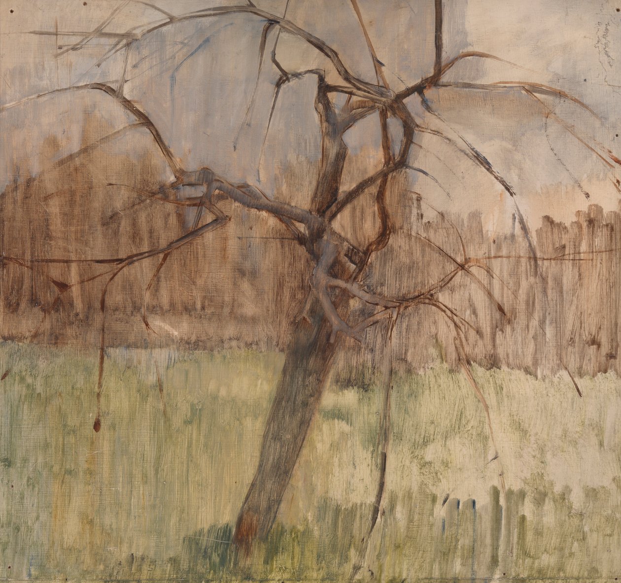 Jabłoń, 1963 autorstwa William Packer