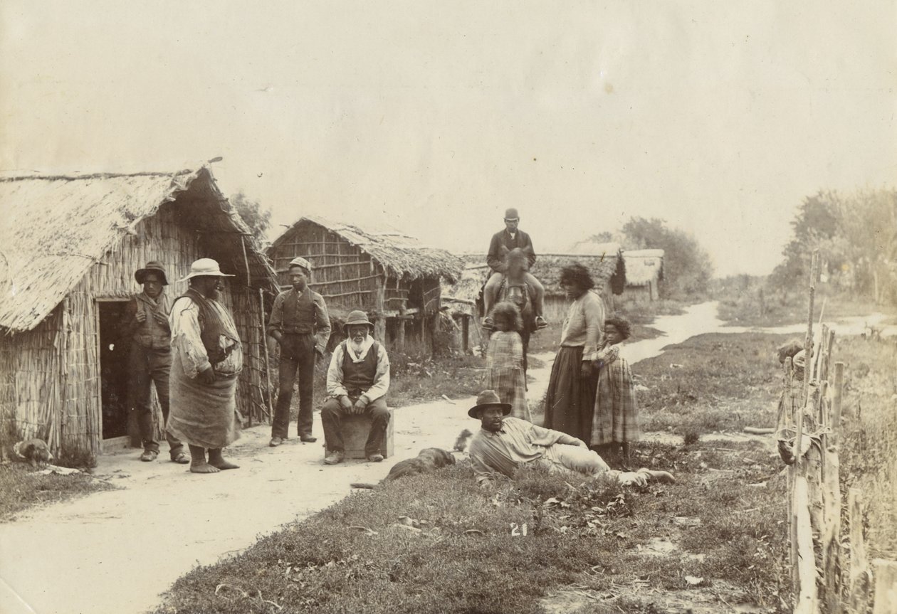 Kaiwhaiki pa, Upokongaro, ok.1895 (srebrny odbitka żelatynowa) autorstwa William Partington