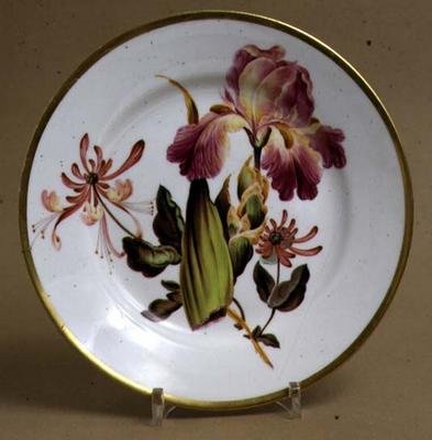 Talerz deserowy Derby z motywem irysa i wiciokrzewu, ok. 1795 (porcelana) autorstwa William Quaker attributed to Pegg