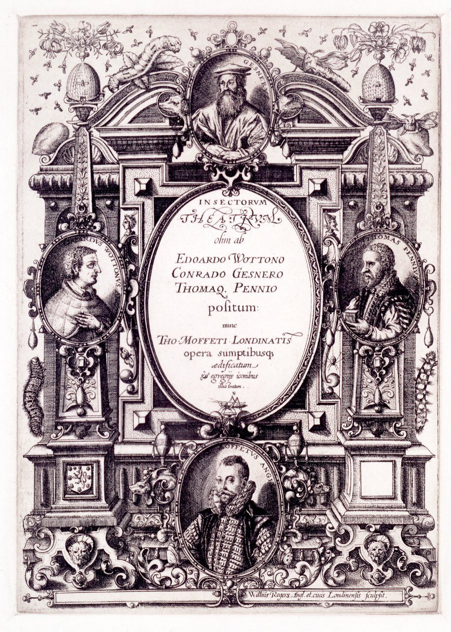 Strona tytułowa do Tabletop Theatre of Insects, koniec lat 1590 autorstwa William Rogers