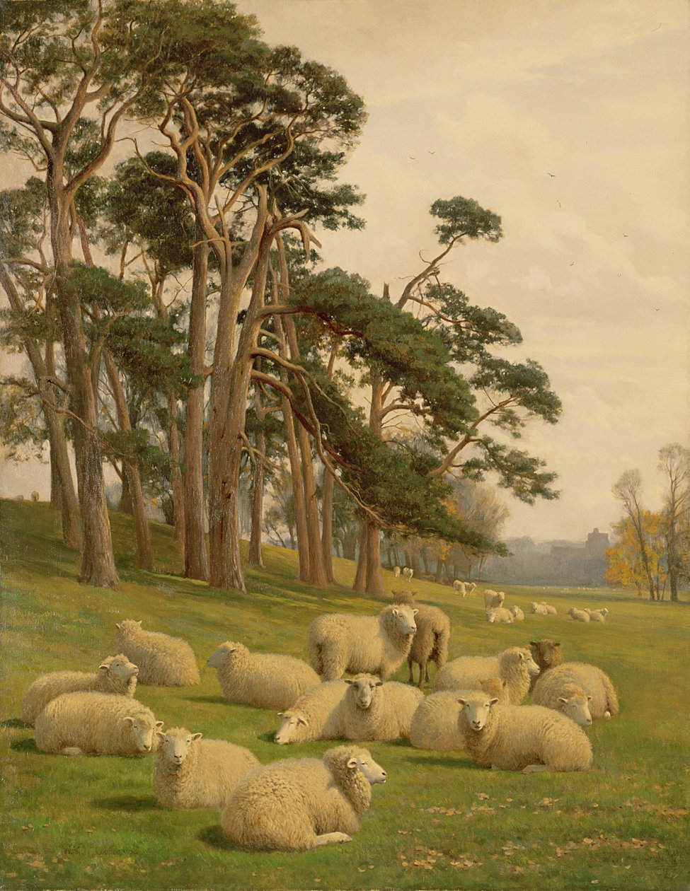 Słoneczne pastwiska autorstwa William Sidney Cooper