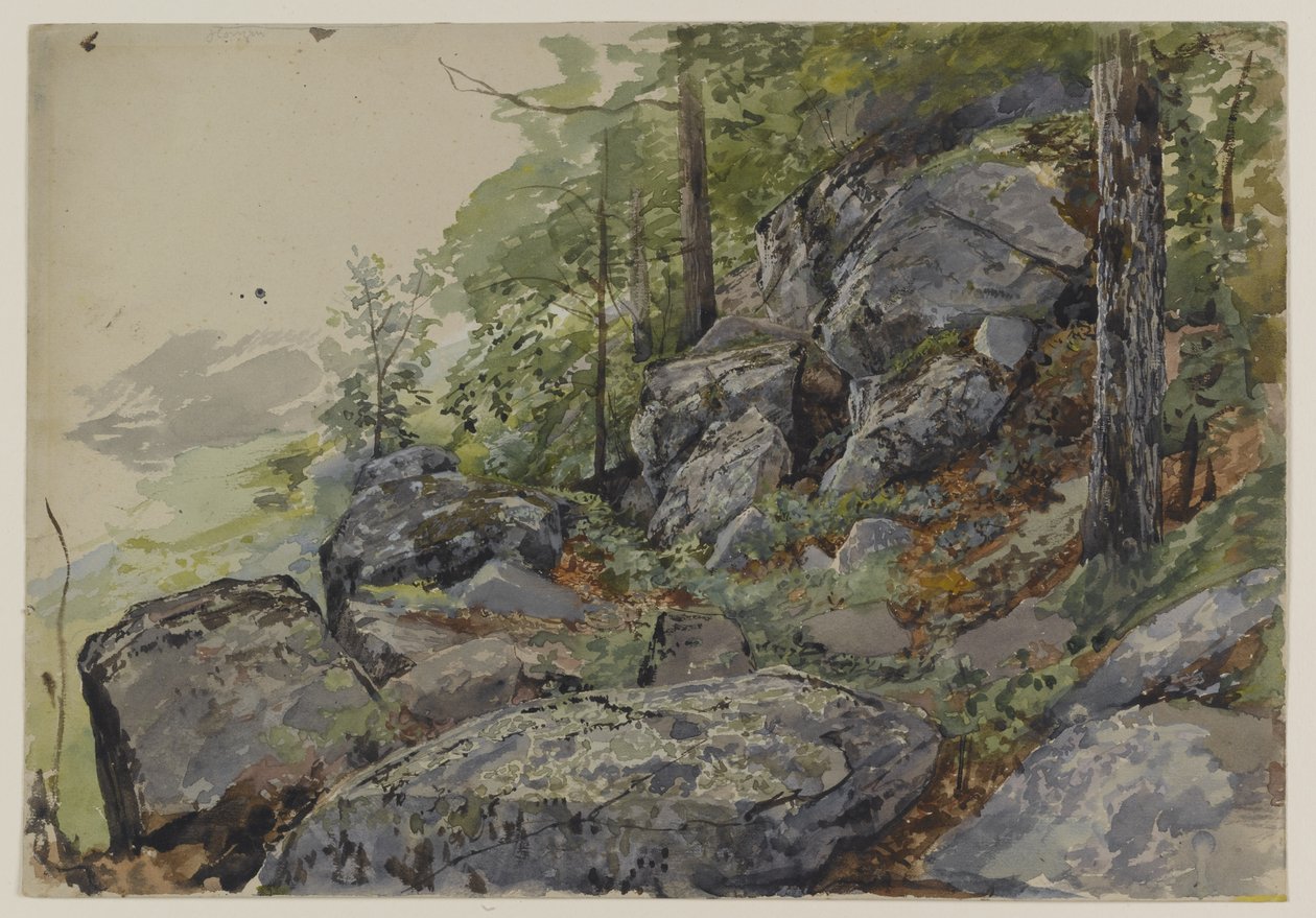 Woodland Boulders, ok. 1877-78 (wc nad grafitem na fakturowanym papierze tkanym) autorstwa William Trost Richards