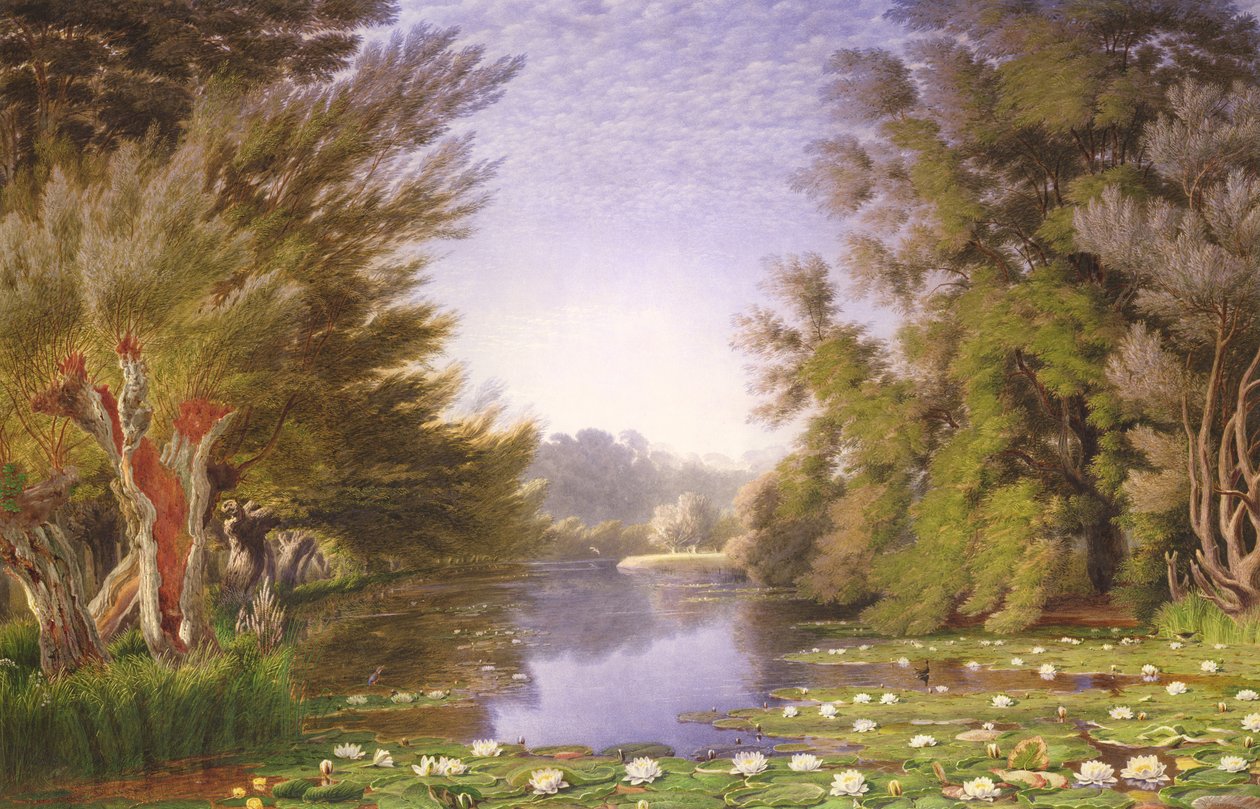 Lilie wodne na Cherwell autorstwa Joseph Mallord William Turner