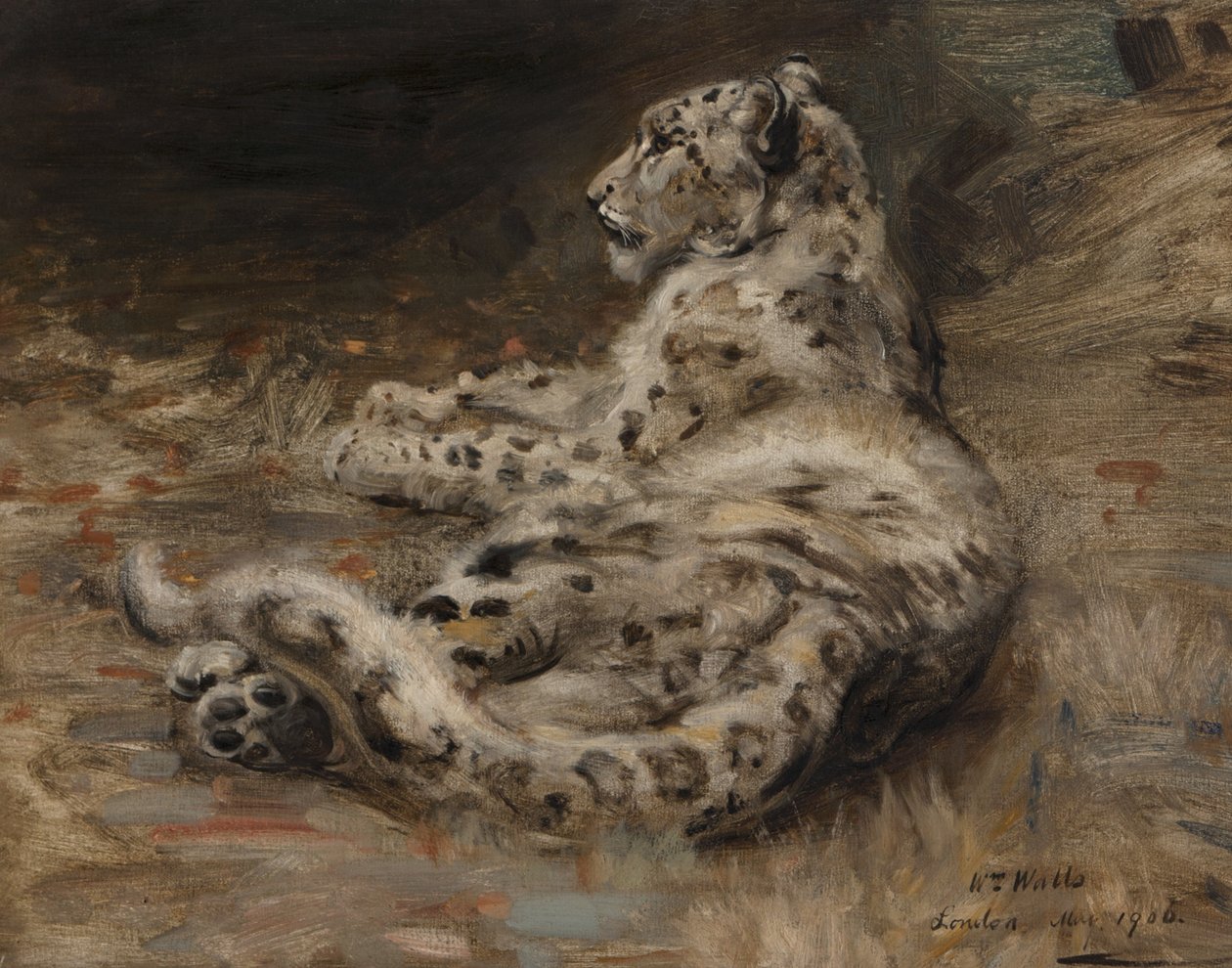 Lampart, 1906 autorstwa William Walls
