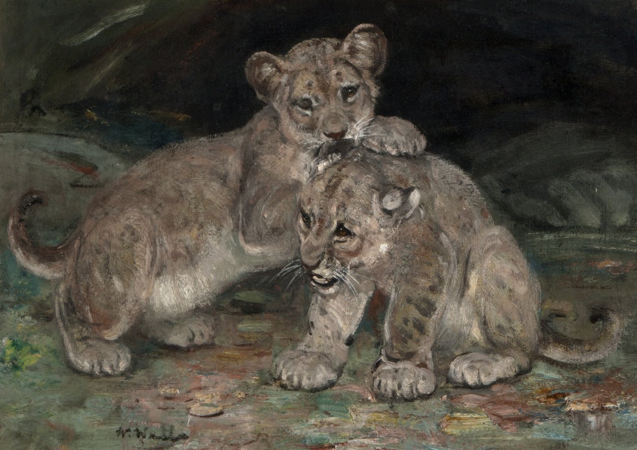 Młode lwy, c.1906 autorstwa William Walls