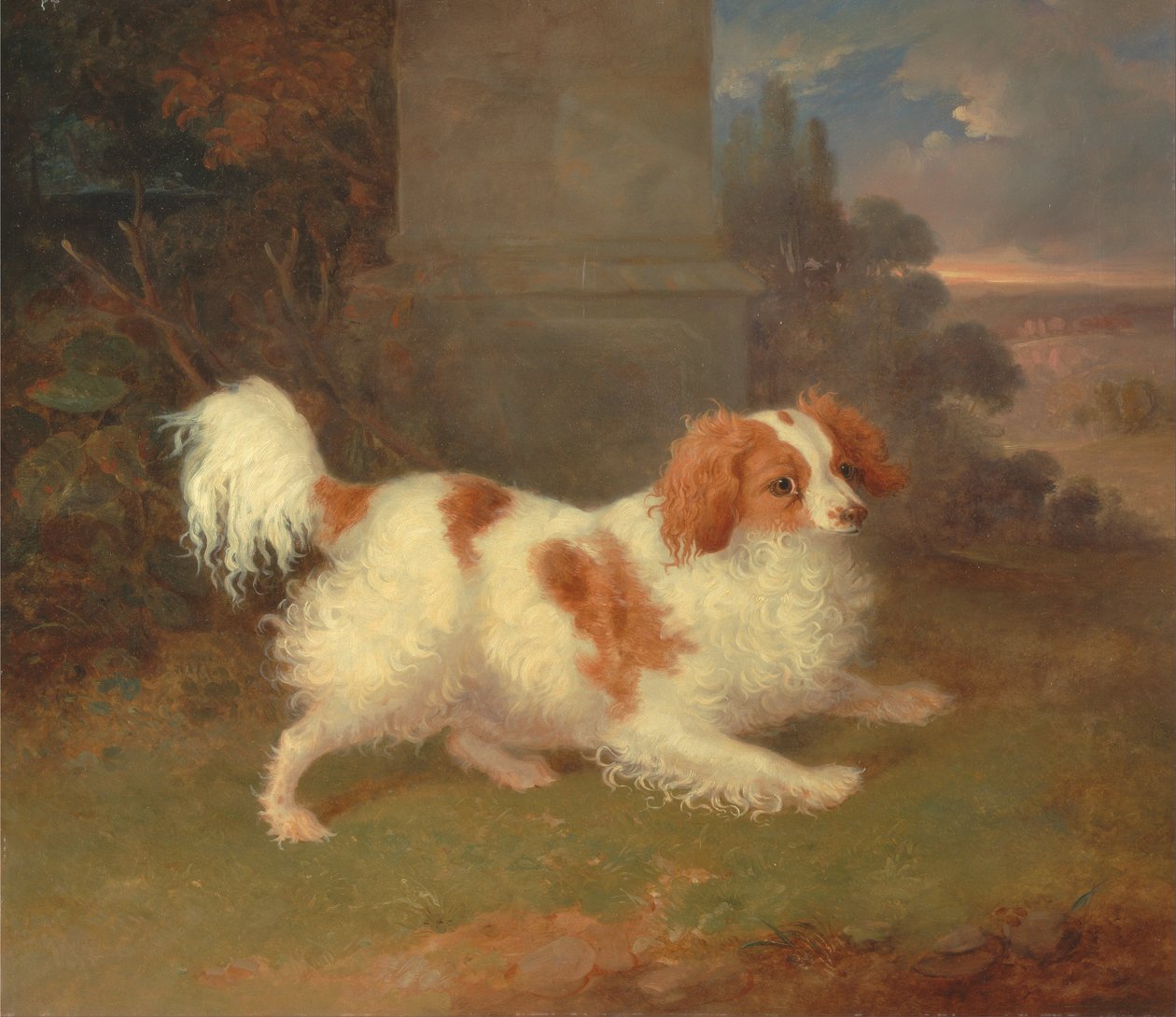 Spaniel z Blenheim autorstwa William Webb