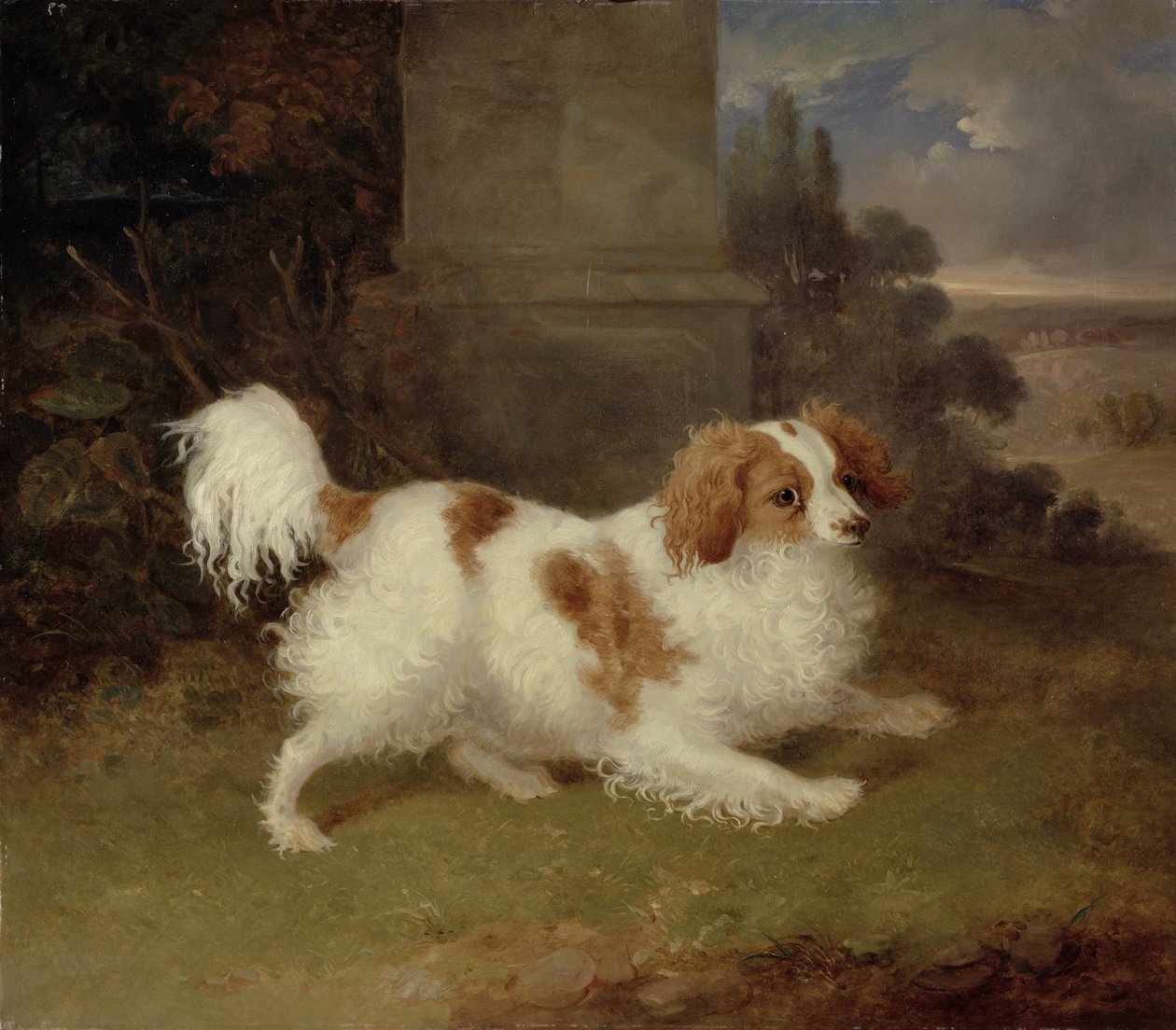Spaniel Blenheim, ok.1820-30 autorstwa William Webb