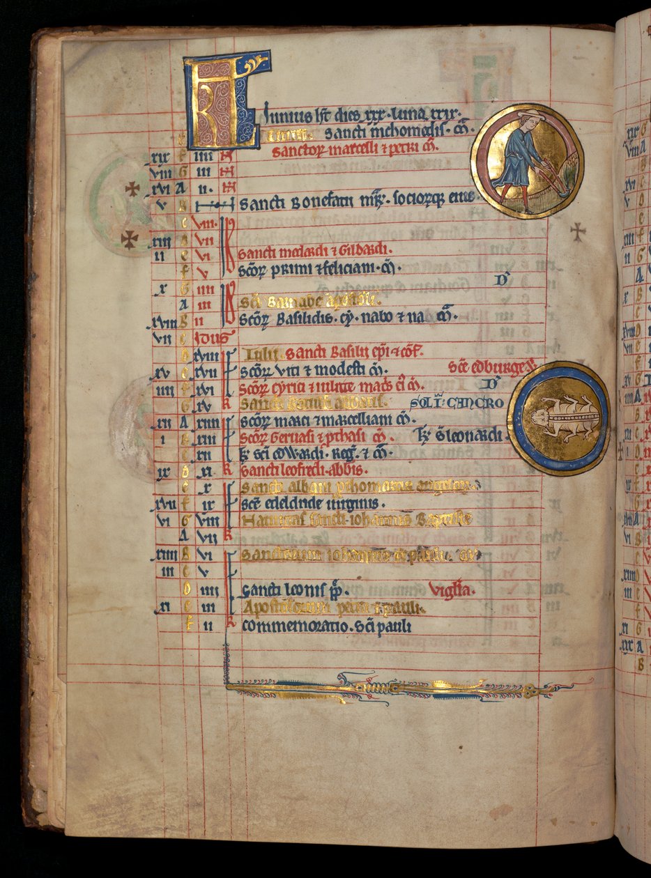 Ms 322 f.3v, czerwiec, mężczyzna pielenie, ilustracja z „De Brailes Psałterz”, c.1250 autorstwa William de Brailes  