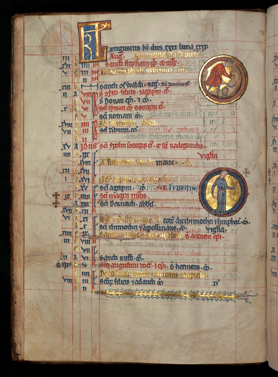 Ms 322 f.4v, sierpień, mężczyzna tnący kukurydzę, ilustracja z „De Brailes Psałterz”, c.1250 autorstwa William de Brailes  