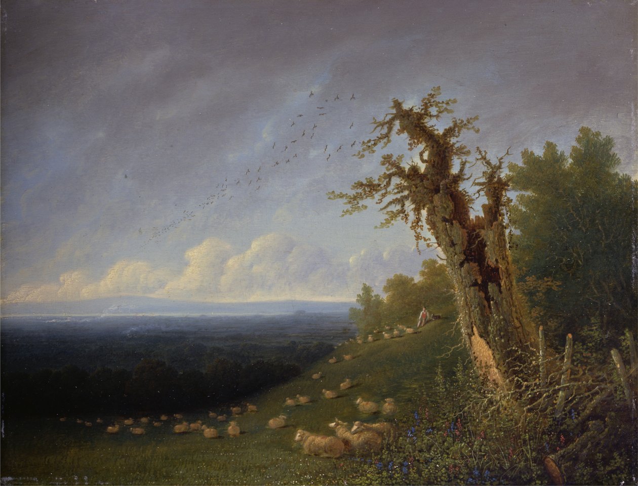 Pasterz na zboczu wzgórza (olej na panelu) autorstwa Joseph Mallord William Turner