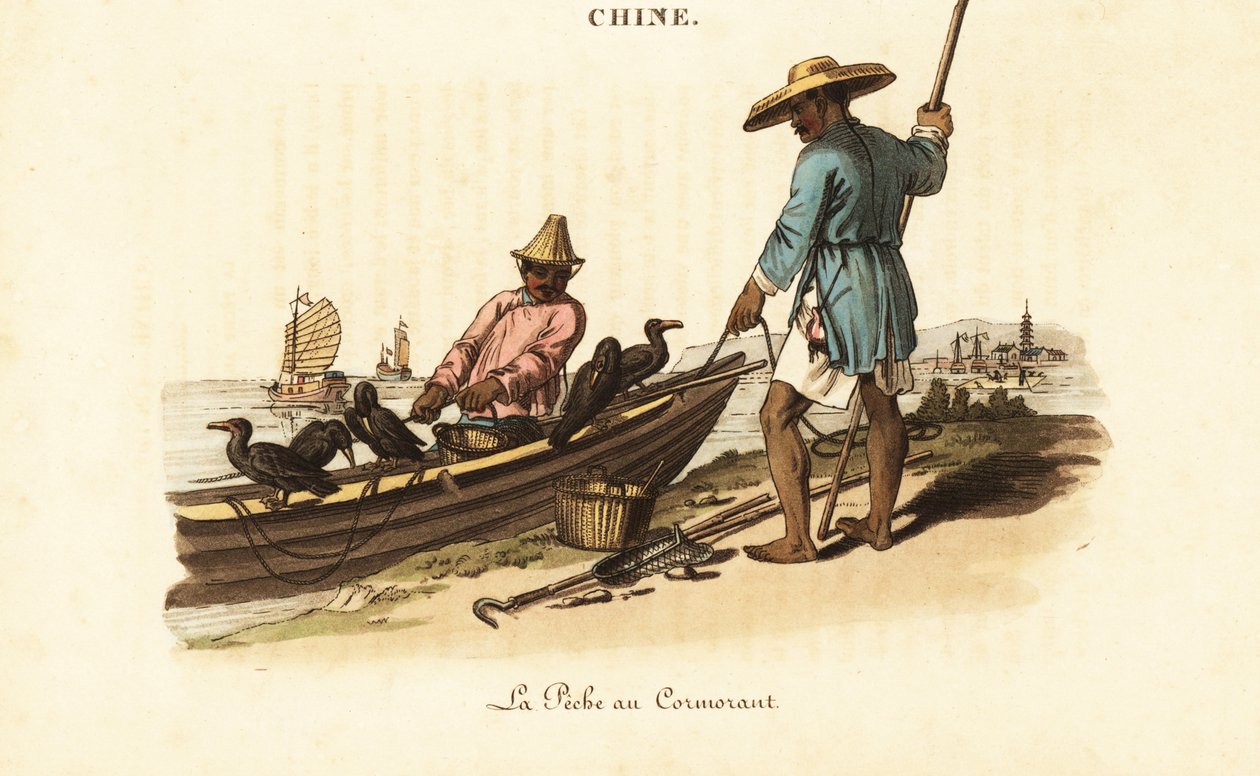 Chińscy rybacy i ich kormorany autorstwa William (after) Alexander