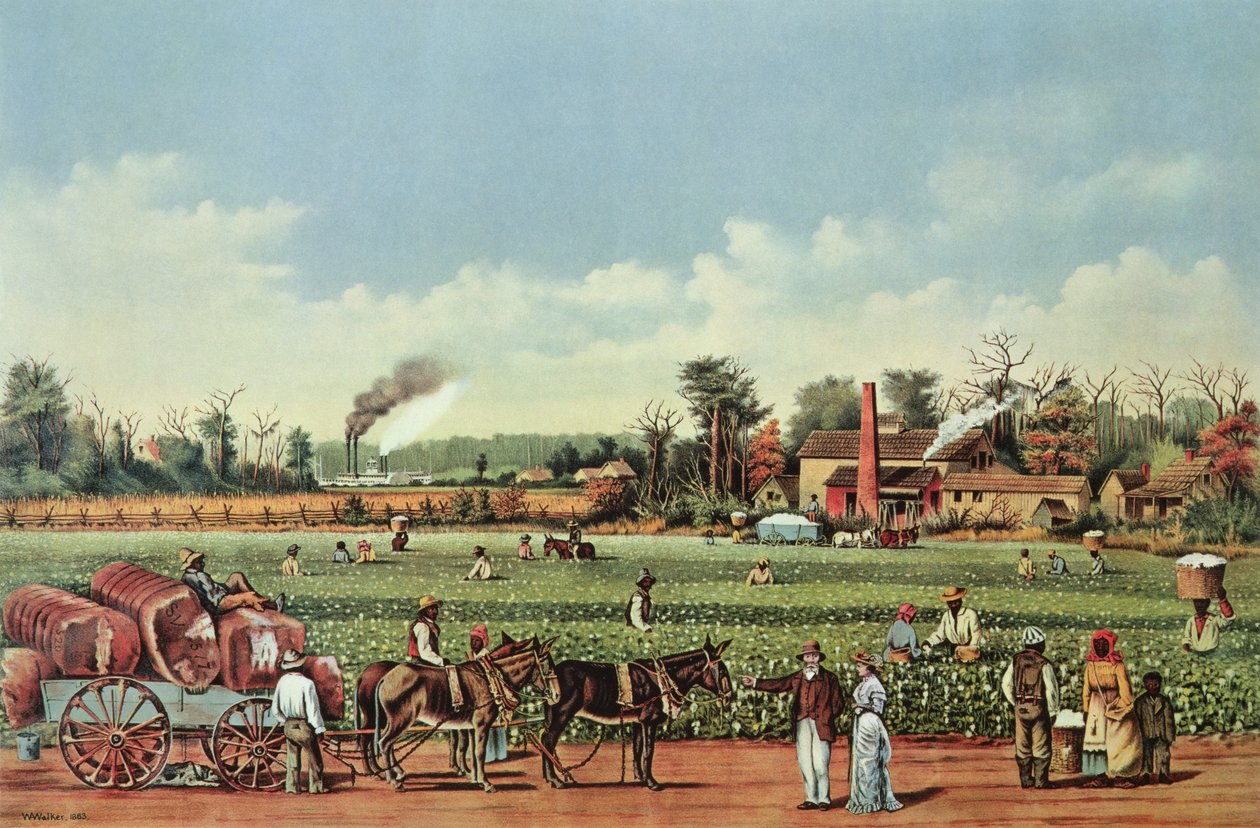  autorstwa William Aiken (after) Walker