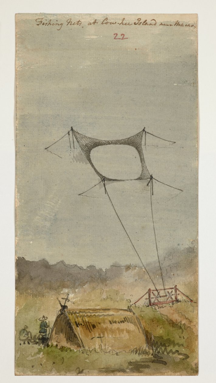 WD 961 f.22 autorstwa William Alexander