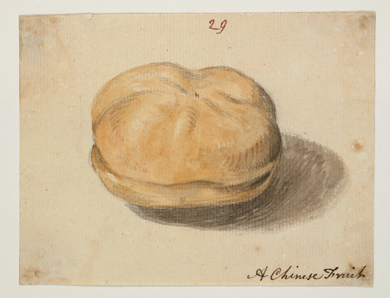 WD 961 f.29 autorstwa William Alexander