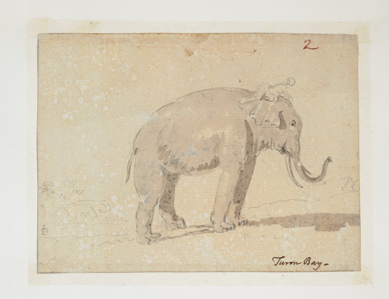 WD 961 f.2 autorstwa William Alexander