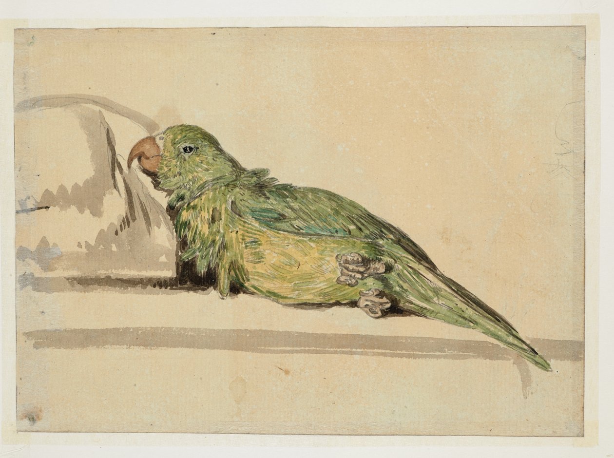 WD 961 f.4v autorstwa William Alexander