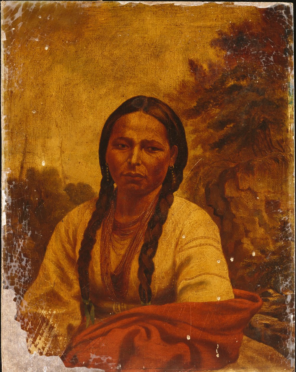 Hinduska z Dakoty autorstwa William Armstrong