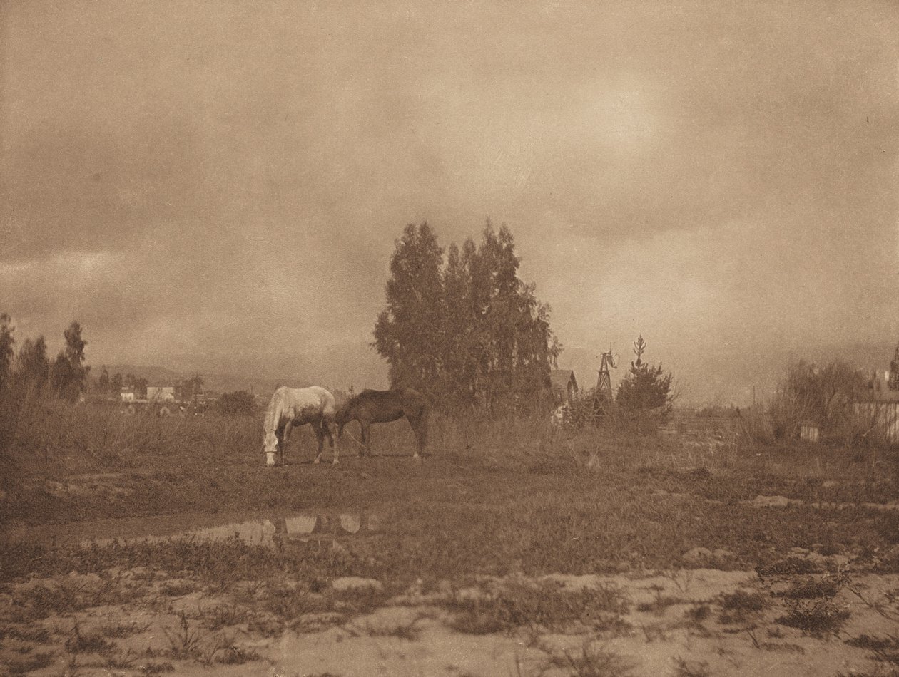 Krajobraz Pasadeny, 1899. autorstwa William B Post