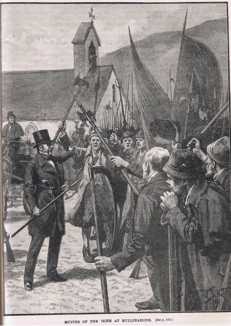 Muster of the Irish at Mullinahone, ilustracja z Cassell