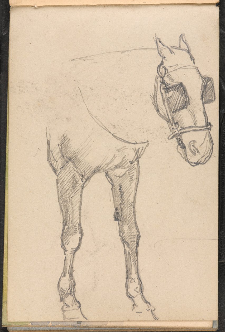 Szkic konia z klapkami na oczach, 1879 ok autorstwa William Barnes Wollen
