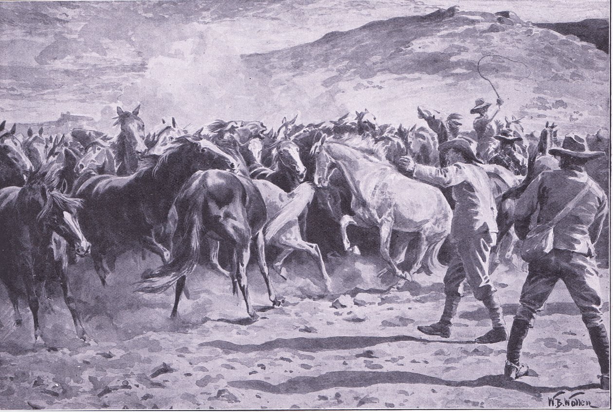 Zdobycie koni w dzielnicy Brandwater pod Fouriesburgiem: łapanie stada, ilustracja z filmu After Pretoria: The Guerilla War, 1902 autorstwa William Barnes Wollen