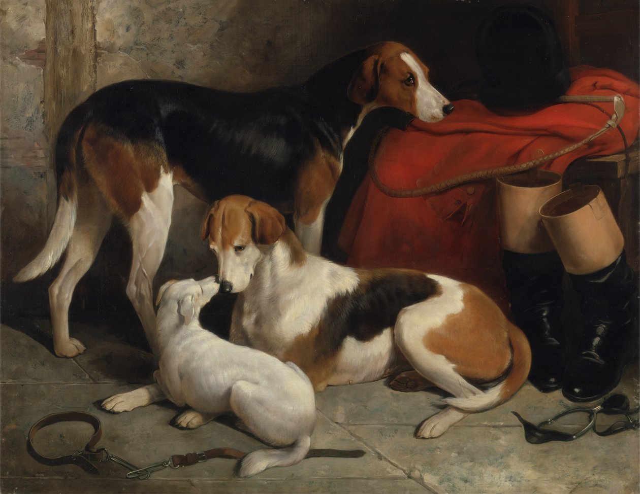 Para Foxhoundów Lorda Henry